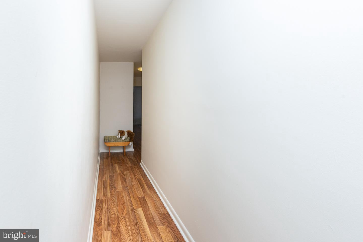 383 Lakeside Road, Unit 103 Ardmore, PA 19003 - Photo 3 of 21 Looking Back Towards The Door