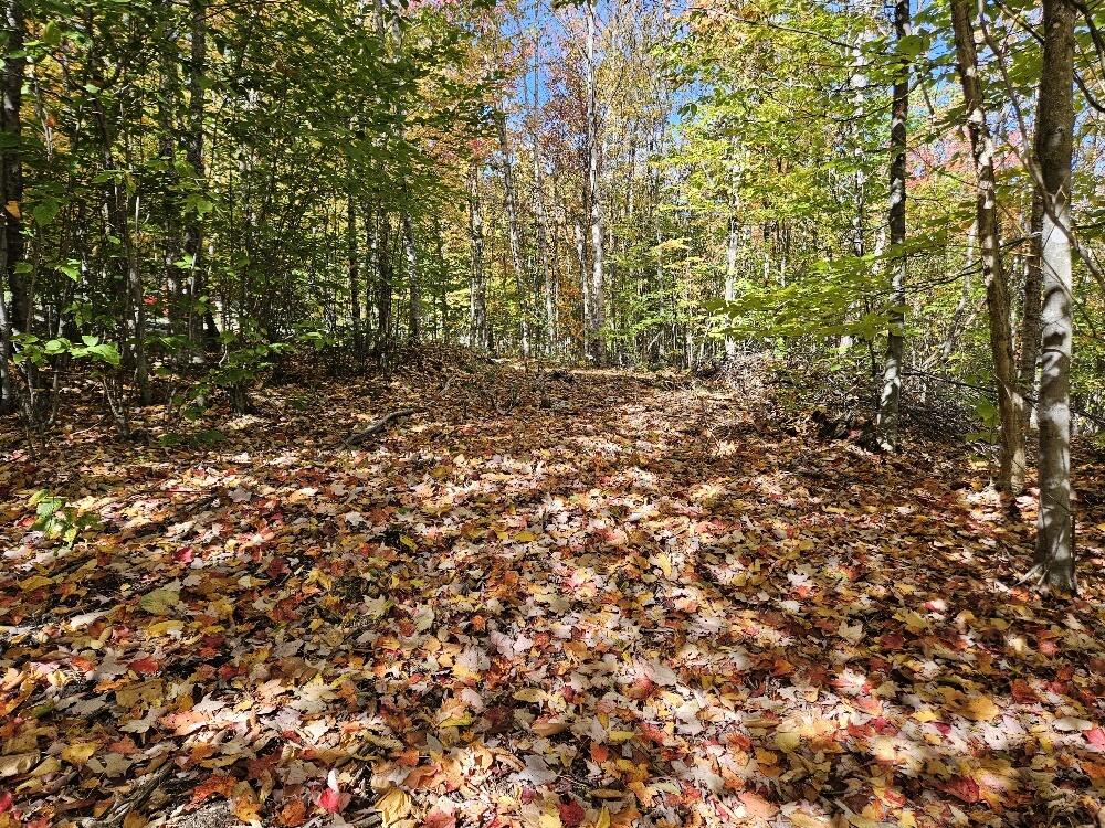 Lot 9 East Moose Alley Road Temple, ME 04984 - Photo 5 of 46