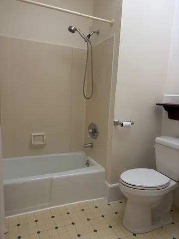 a bathroom with a toilet and a bathtub