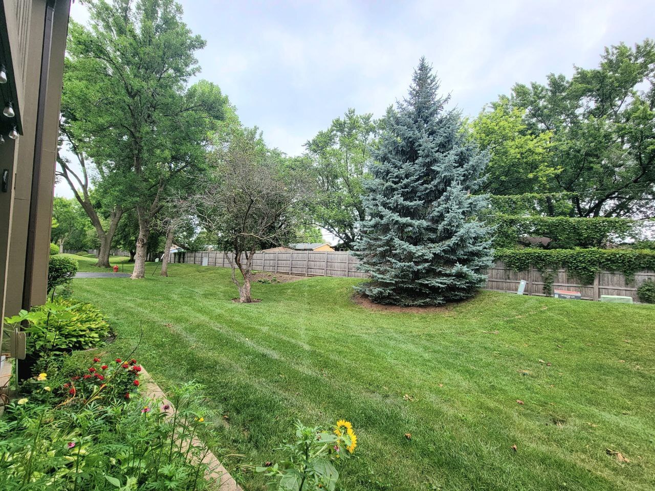 4730 Calvert Drive, Unit B1 Rolling Meadows, IL 60008 - Photo 5 of 23 a view of a garden with a bench
