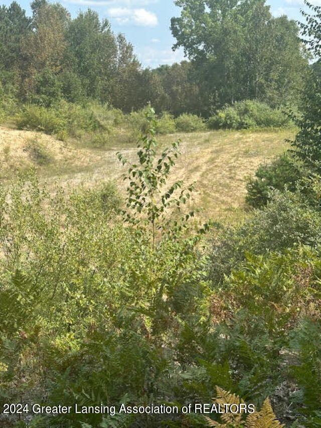 4760 Maple Grv Road Farwell, MI 48622 - Photo 22 of 23 unnamed13