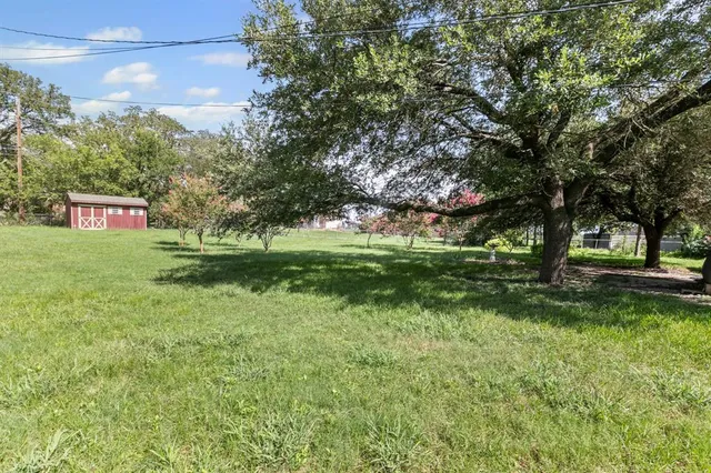 a view of a park that has large trees
