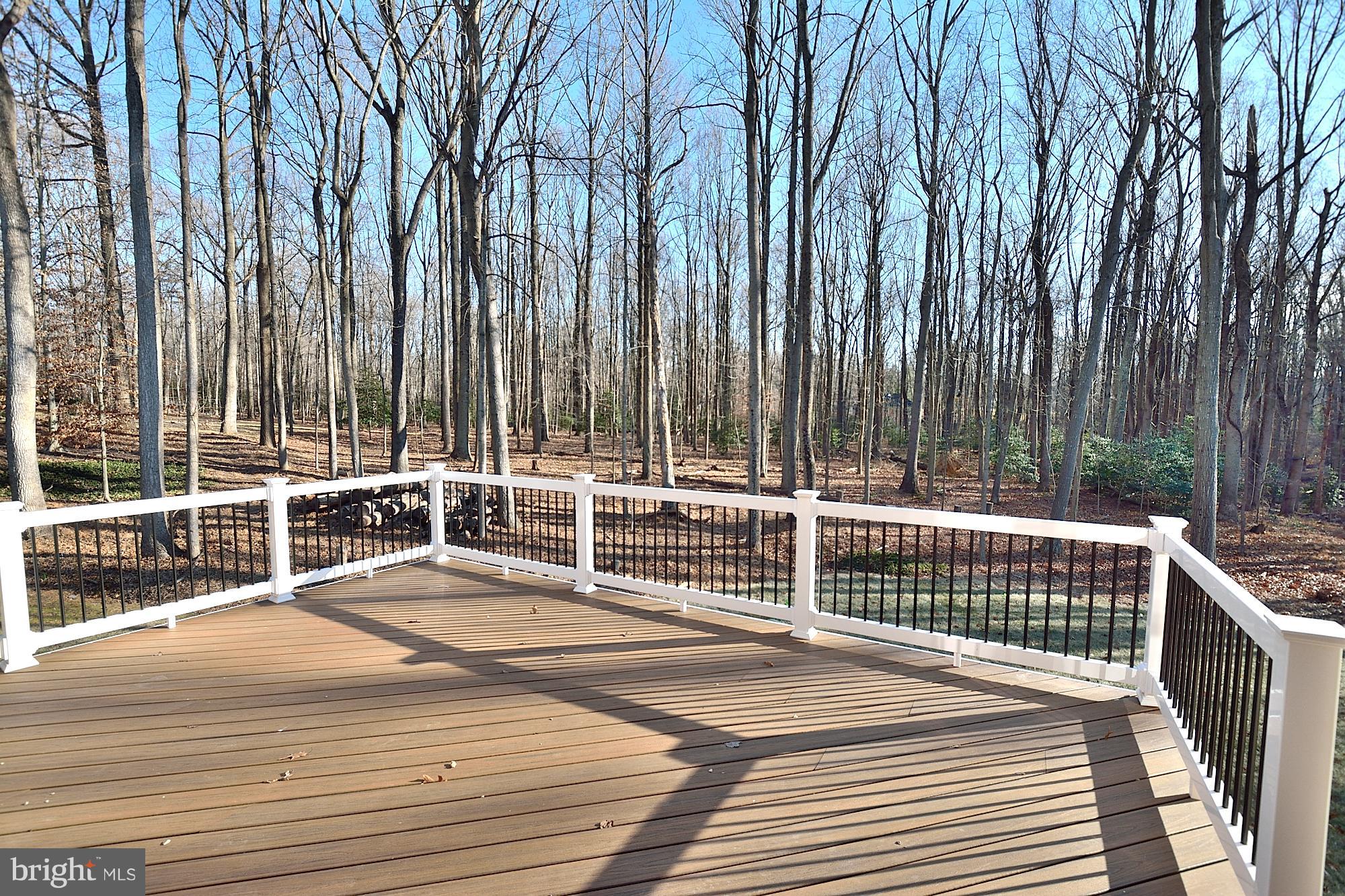 680 Springvale Road Great Falls, VA 22066 - Photo 19 of 30 Trex Deck off of Kitchen- Winter View