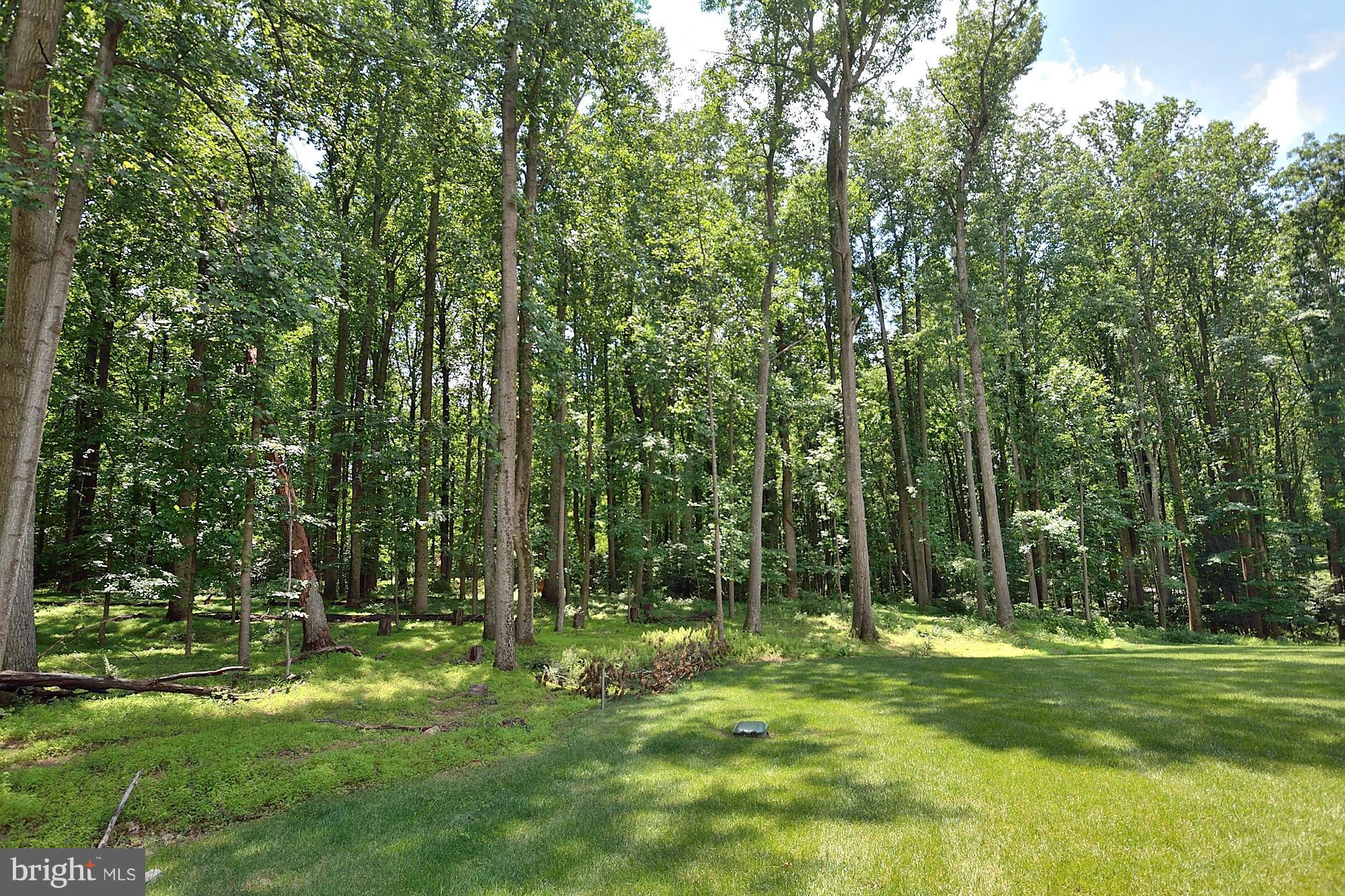 680 Springvale Road Great Falls, VA 22066 - Photo 20 of 30 Summer View