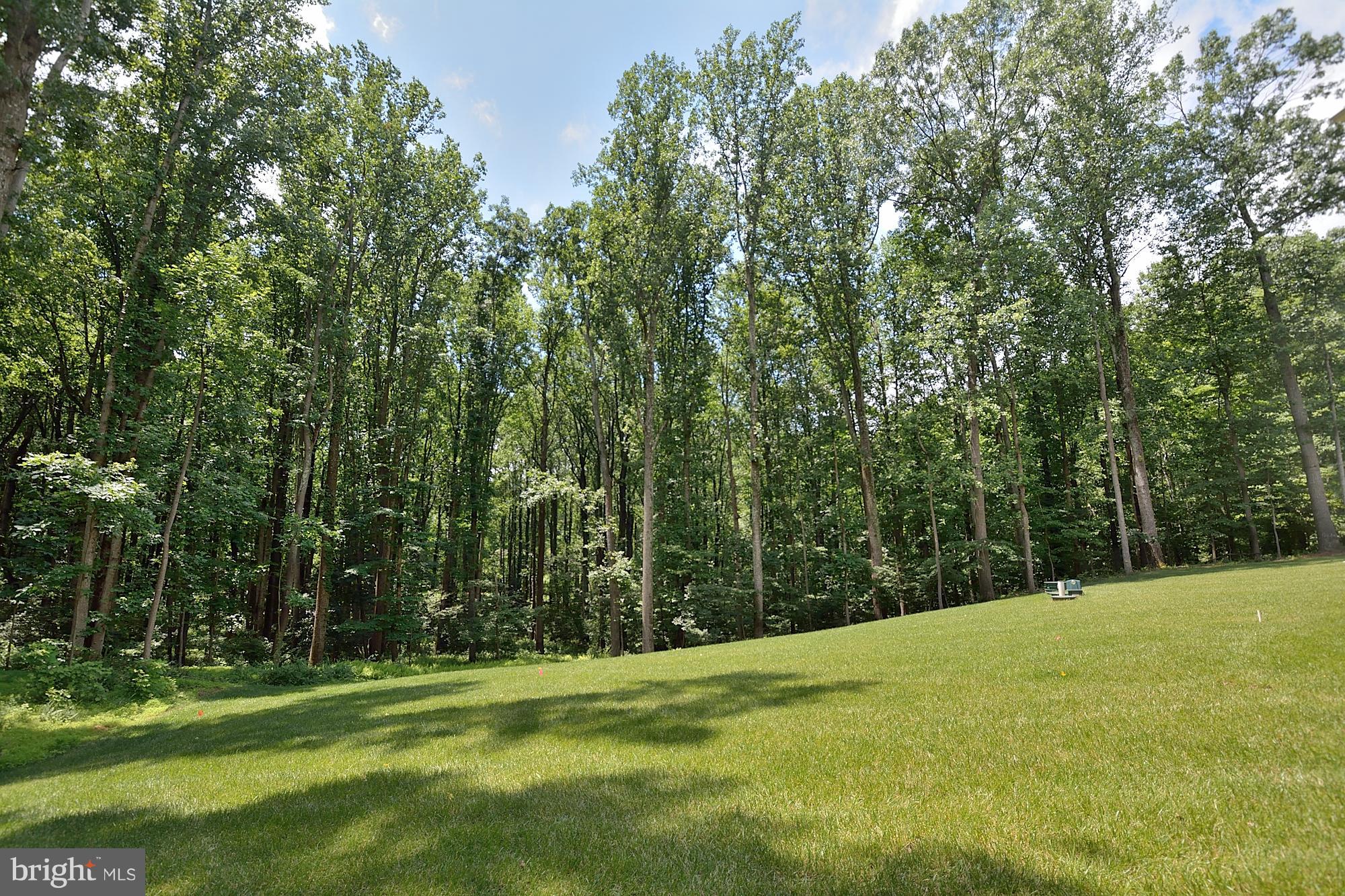 680 Springvale Road Great Falls, VA 22066 - Photo 30 of 30 Surrounded by Trees