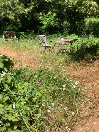 a view of a bench in the garden