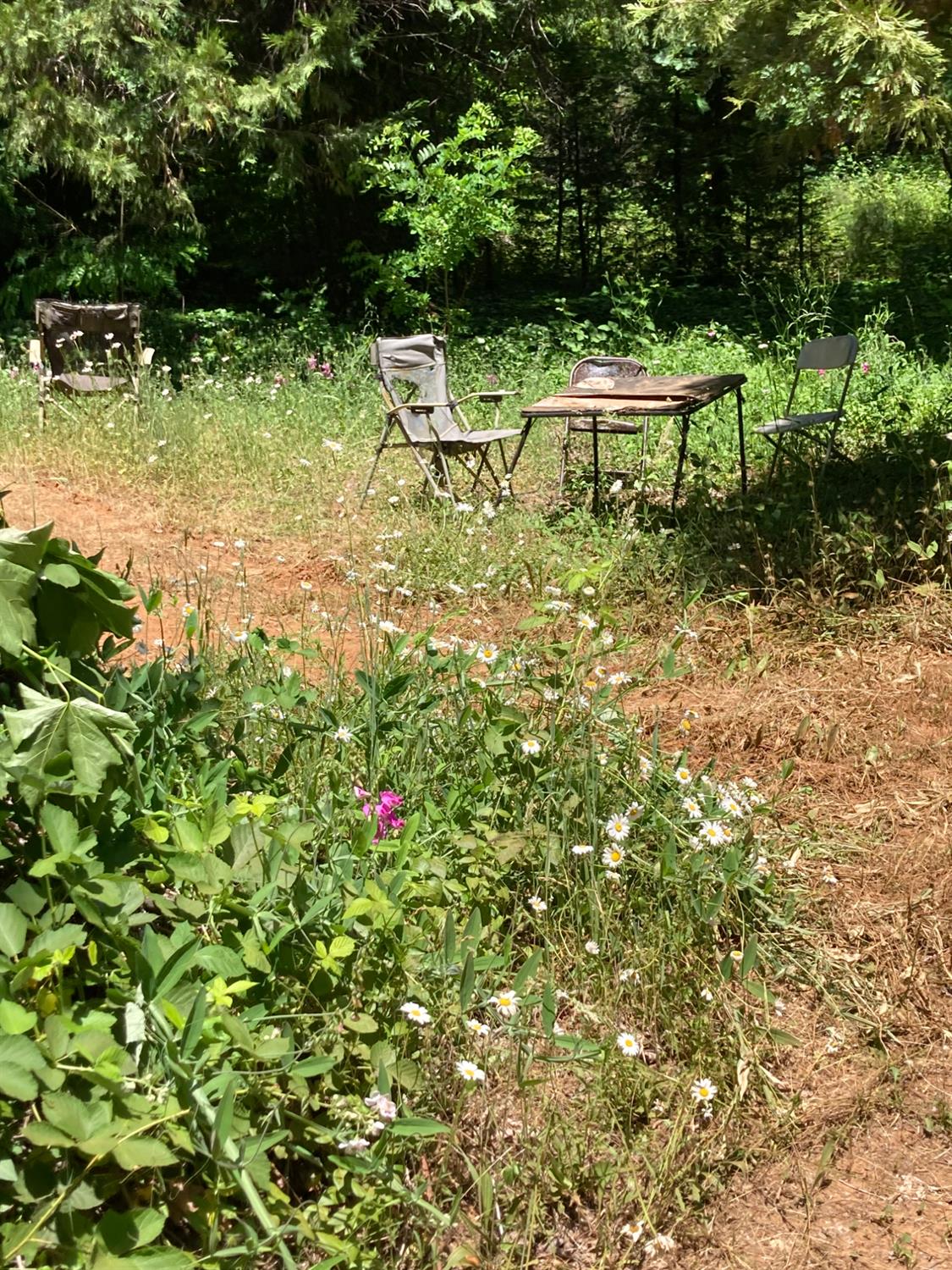 0 Baker Road Camptonville, CA 95922 - Photo 18 of 27 a view of a bench in the garden