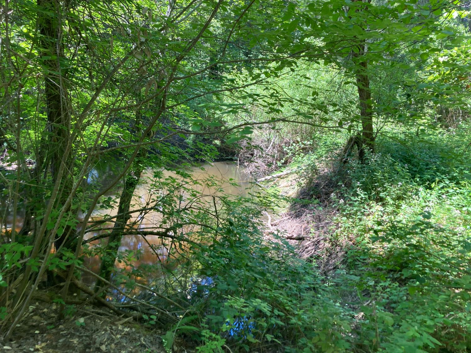 0 Baker Road Camptonville, CA 95922 - Photo 2 of 27 a backyard of a house with lots of green space