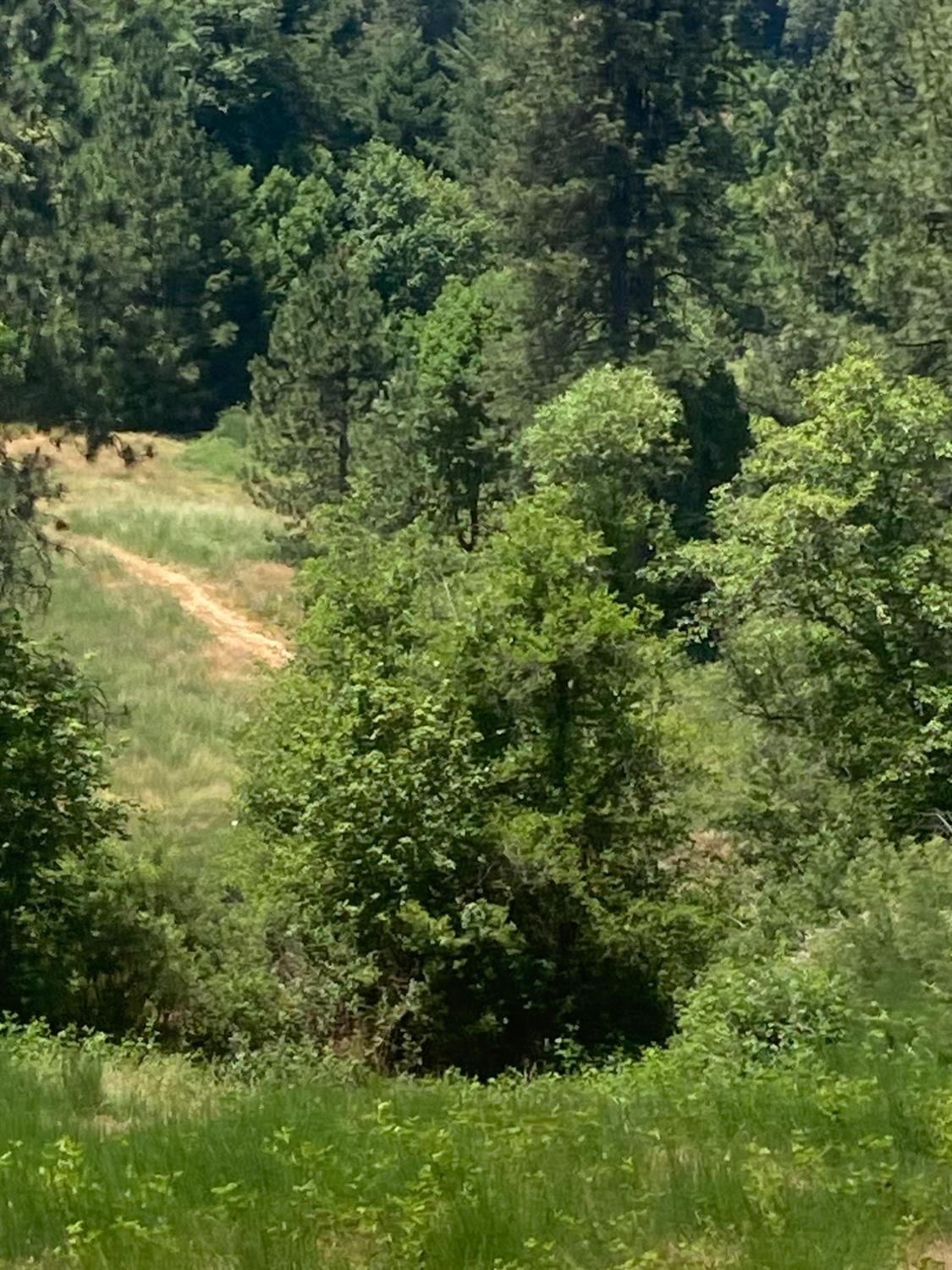 0 Baker Road Camptonville, CA 95922 - Photo 24 of 27 a view of a yard