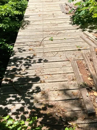 a view of outdoor space