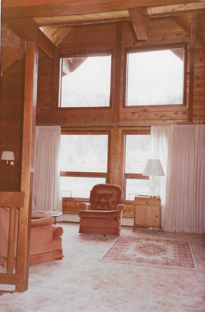 79 Ranch View Drive Florissant, CO 80816 - Photo 24 of 40 a living room with furniture and a window