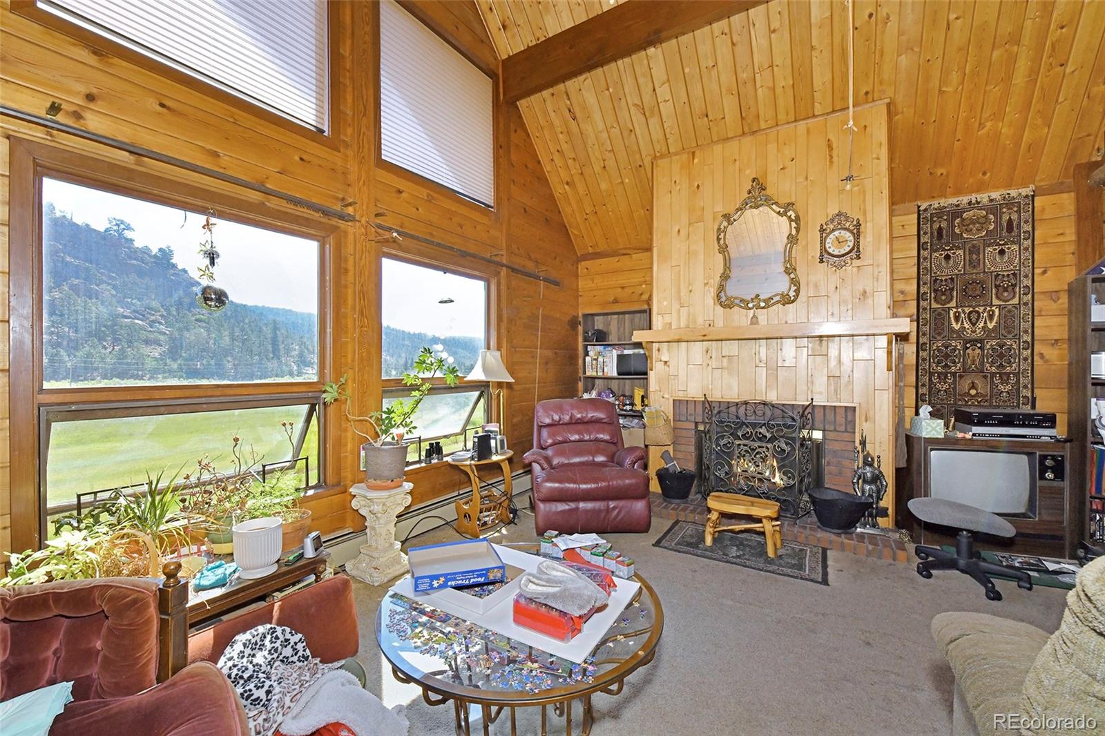 79 Ranch View Drive Florissant, CO 80816 - Photo 28 of 40 a living room with furniture and a fireplace