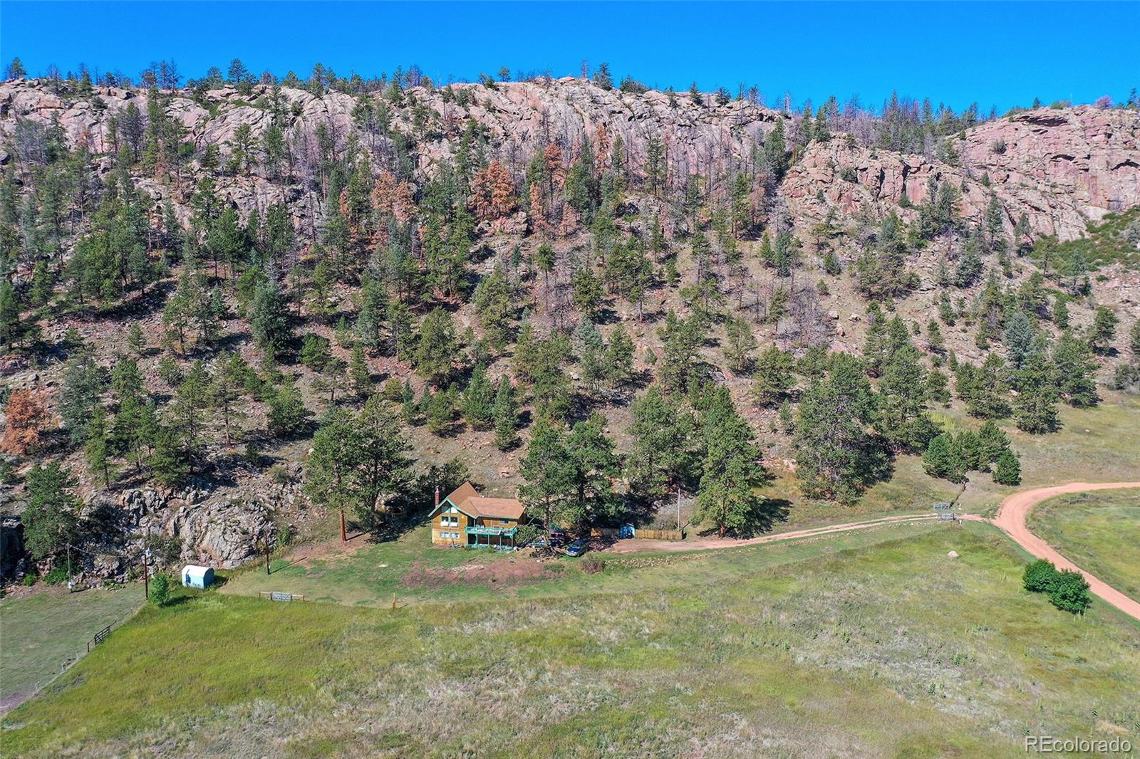79 Ranch View Drive Florissant, CO 80816 - Photo 39 of 40 a view of a field with a tree in the background