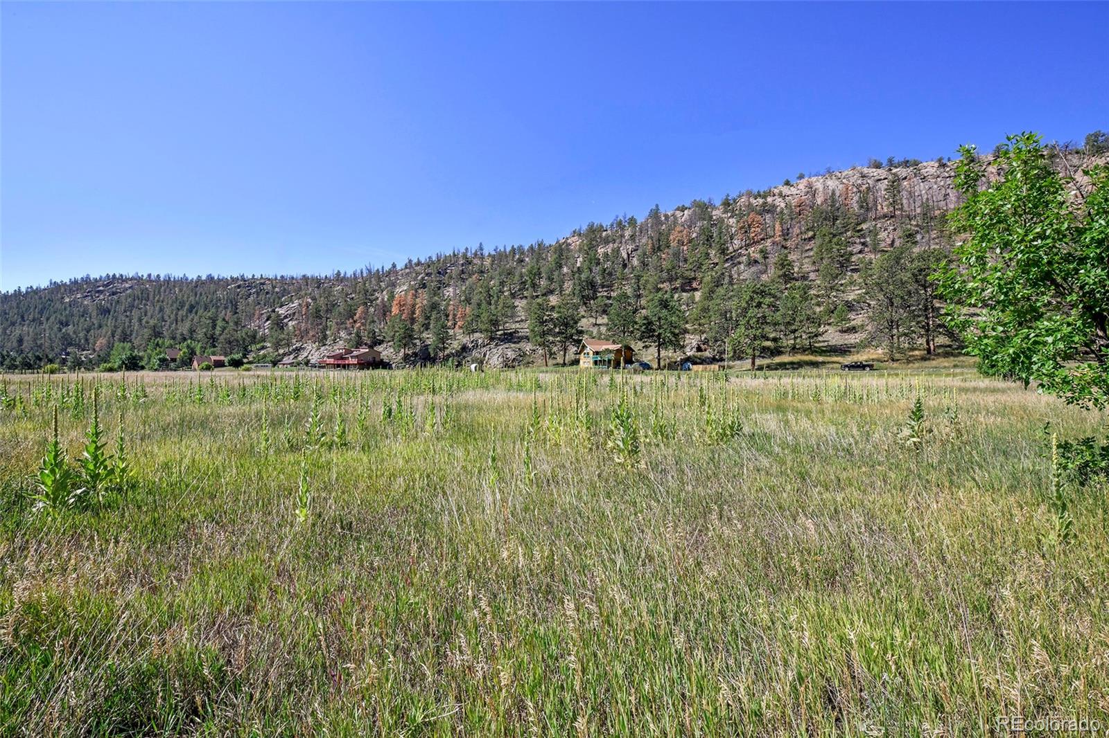 79 Ranch View Drive Florissant, CO 80816 - Photo 4 of 40 a view of a lake from a yard