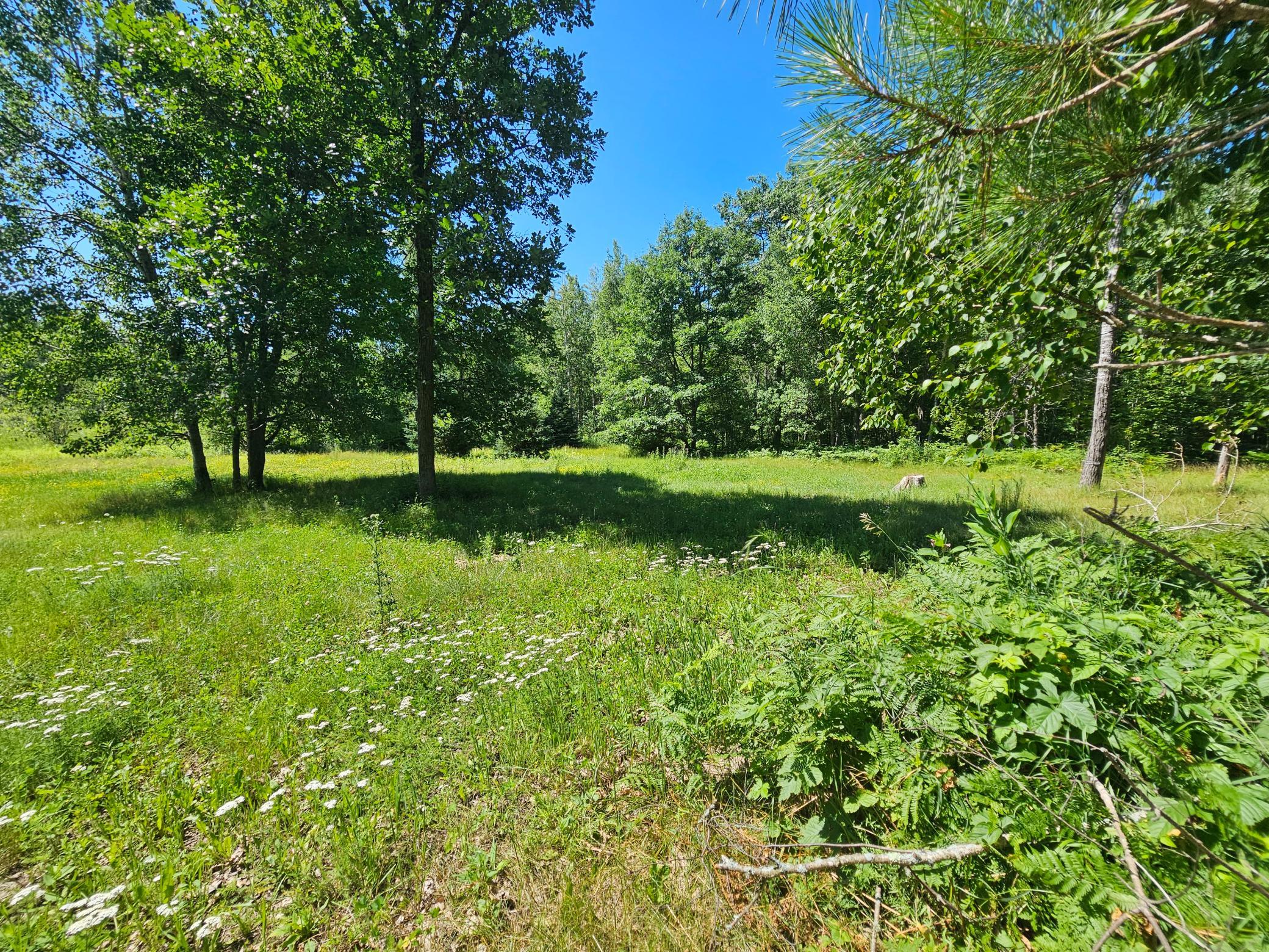 40776 Mary Lake Road Emily, MN 56447 - Photo 31 of 33