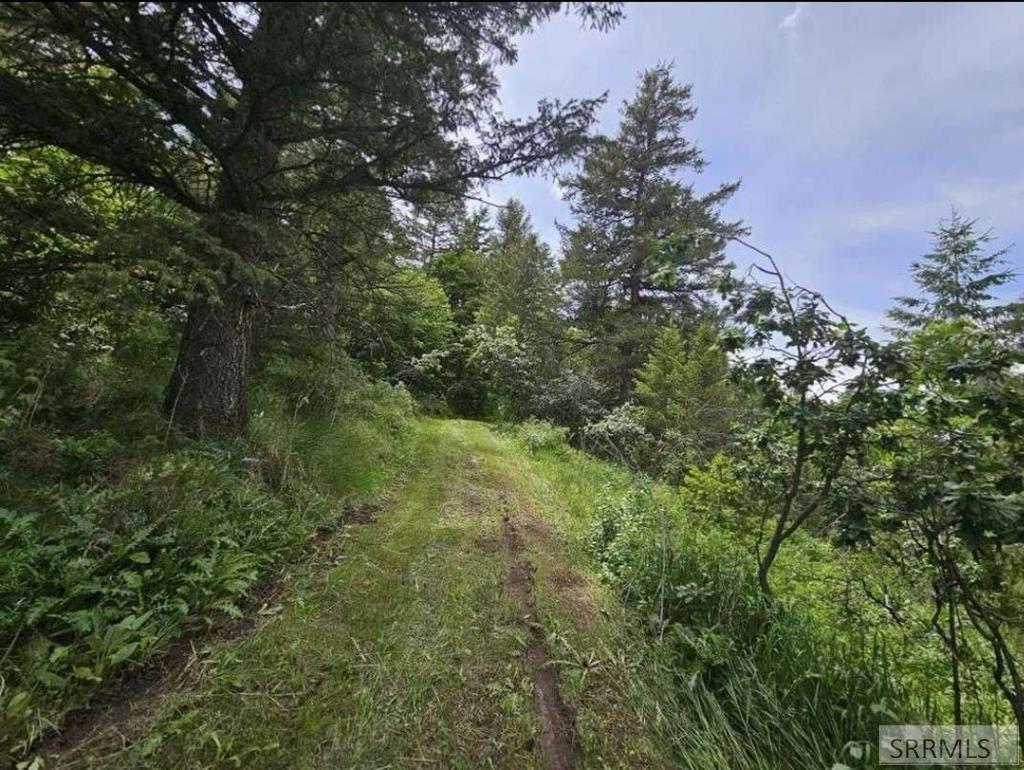 12085 South Dempsey Creek Road Lava Hot Springs, ID 83246 - Photo 13 of 35