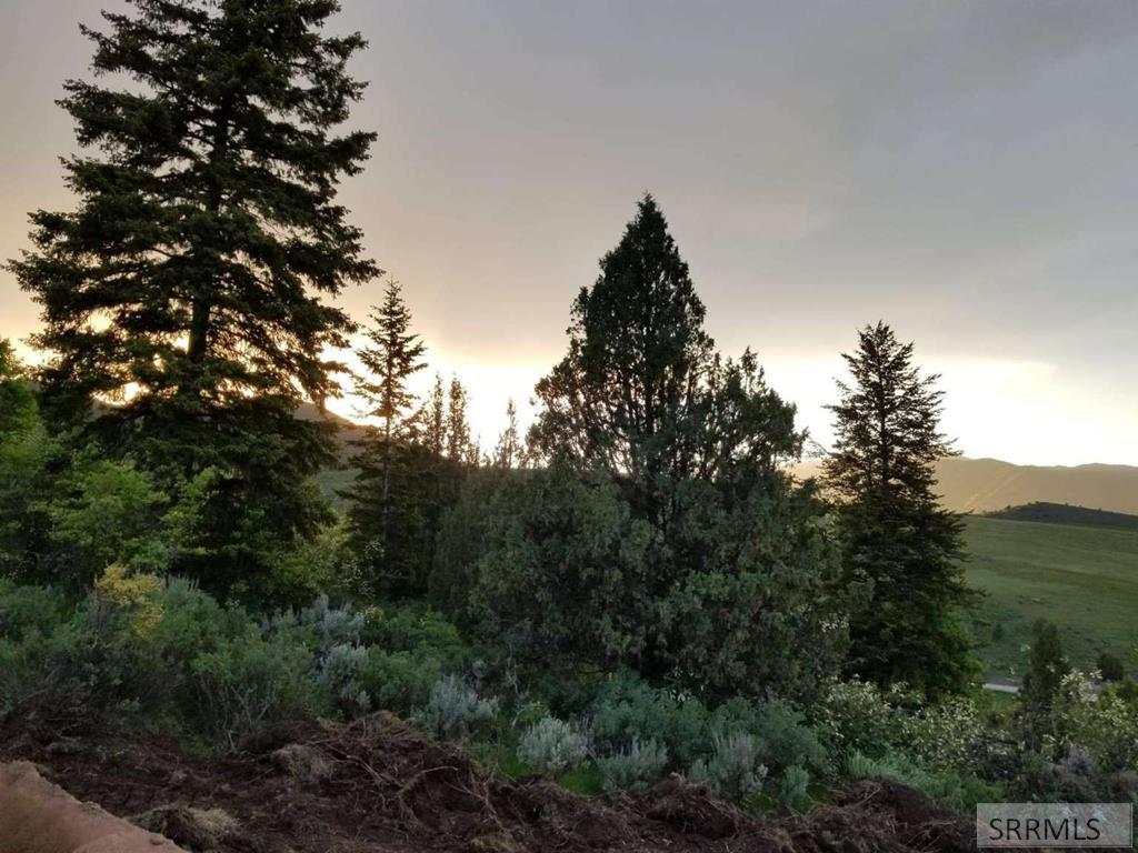 12085 South Dempsey Creek Road Lava Hot Springs, ID 83246 - Photo 14 of 35