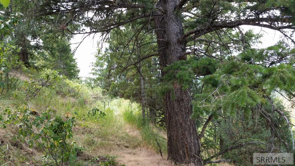 12085 South Dempsey Creek Road Lava Hot Springs, ID 83246 - Photo 16 of 35