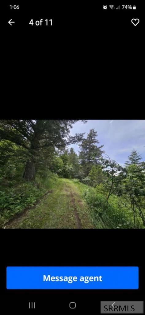 12085 South Dempsey Creek Road Lava Hot Springs, ID 83246 - Photo 20 of 35