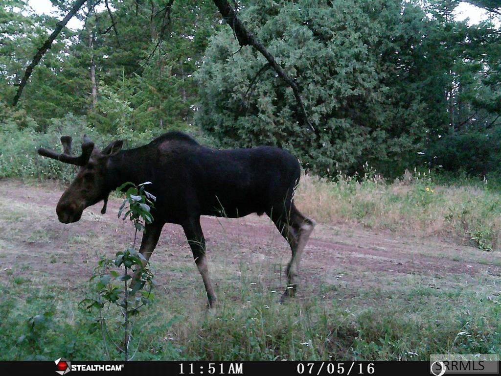 12085 South Dempsey Creek Road Lava Hot Springs, ID 83246 - Photo 21 of 35