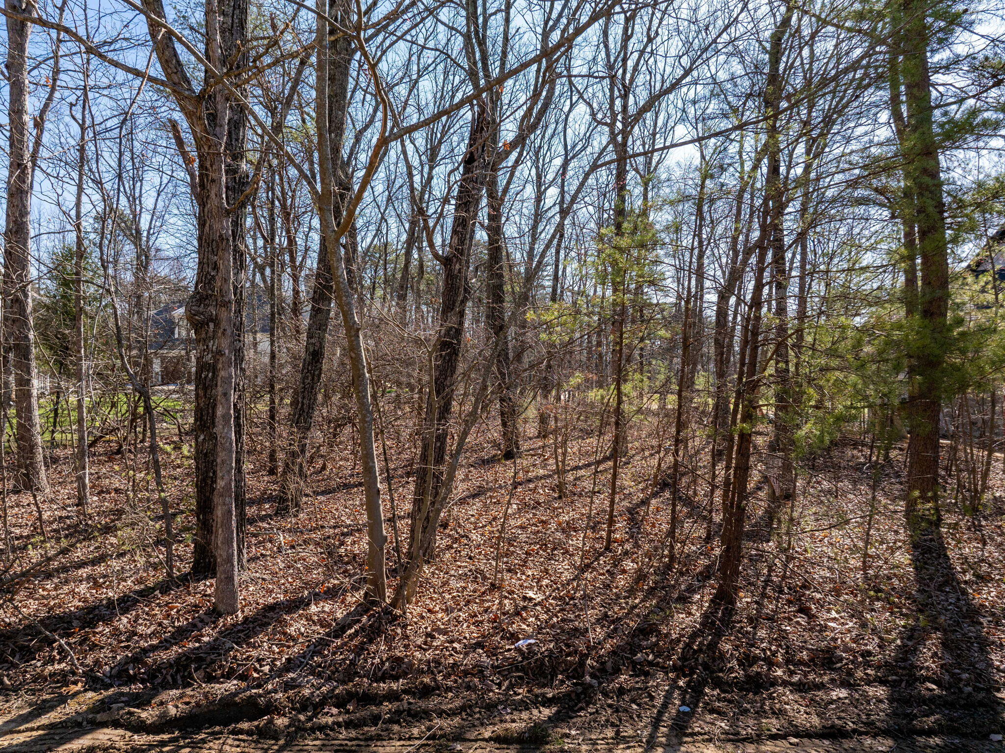 0 Arrow Ranch Road, Unit LOT F2 Rising Fawn, GA 30738 - Photo 22 of 36 19-web-or-mls-DJI_20240319105145_0139_D-