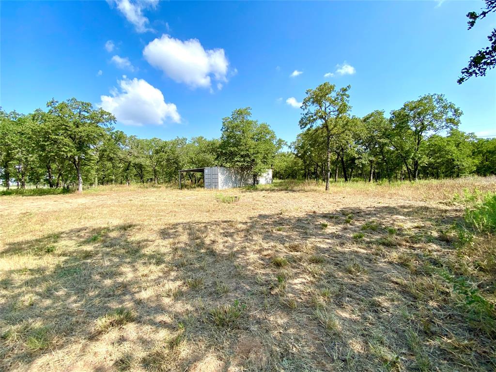 524 County Road 1792 Sunset, TX 76270 - Photo 12 of 40 a view of yard with trees