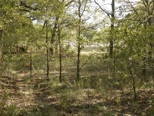 a view of lake from balcony