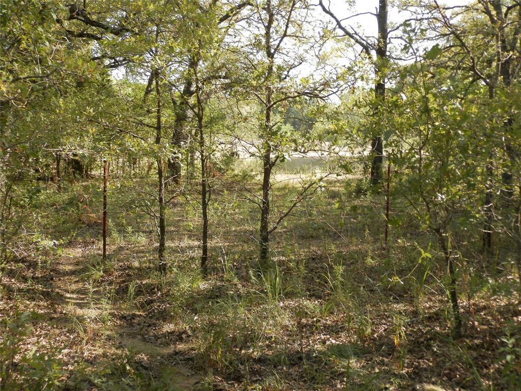 524 County Road 1792 Sunset, TX 76270 - Photo 25 of 40 a view of a room with trees