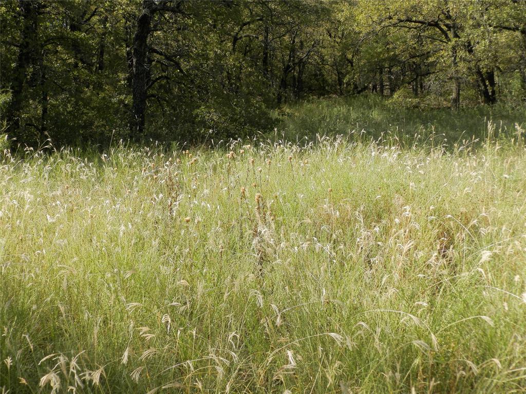 524 County Road 1792 Sunset, TX 76270 - Photo 28 of 40 a view of a lake view