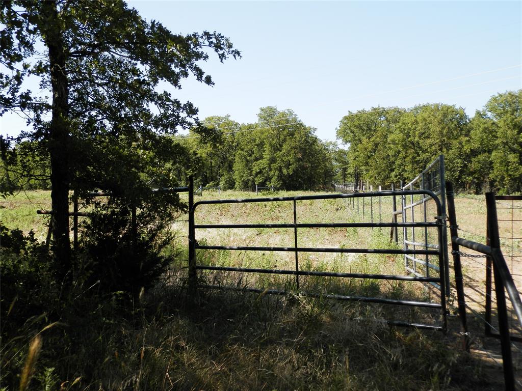 524 County Road 1792 Sunset, TX 76270 - Photo 29 of 40 a view of a backyard