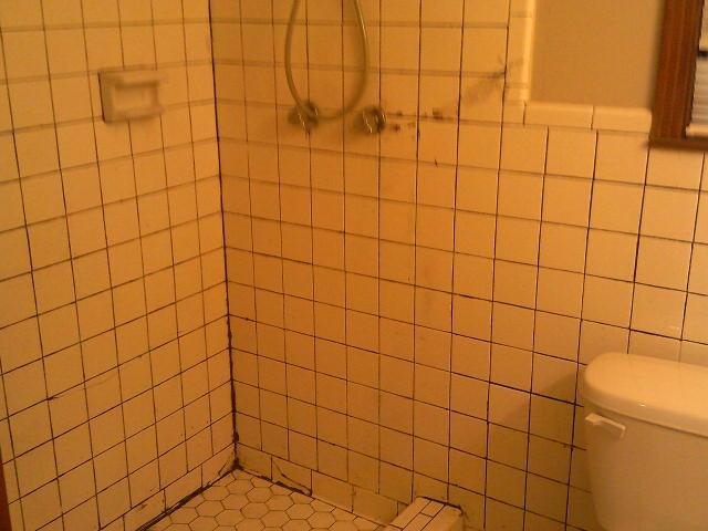 4909 Neely Road Memphis, TN 38109 - Photo 13 of 20 a bathroom with a shower