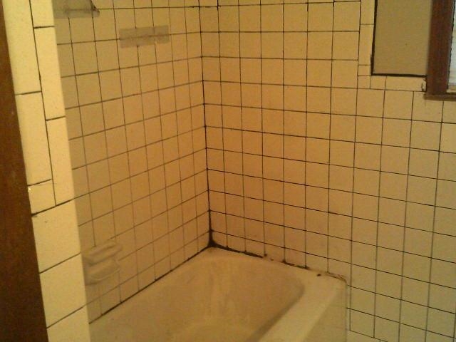 4909 Neely Road Memphis, TN 38109 - Photo 17 of 20 a bathroom with a shower