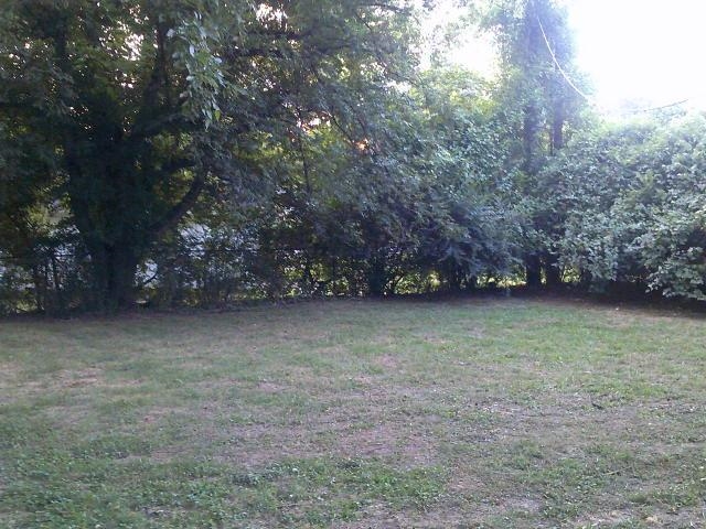 4909 Neely Road Memphis, TN 38109 - Photo 20 of 20 a view of outdoor space and yard