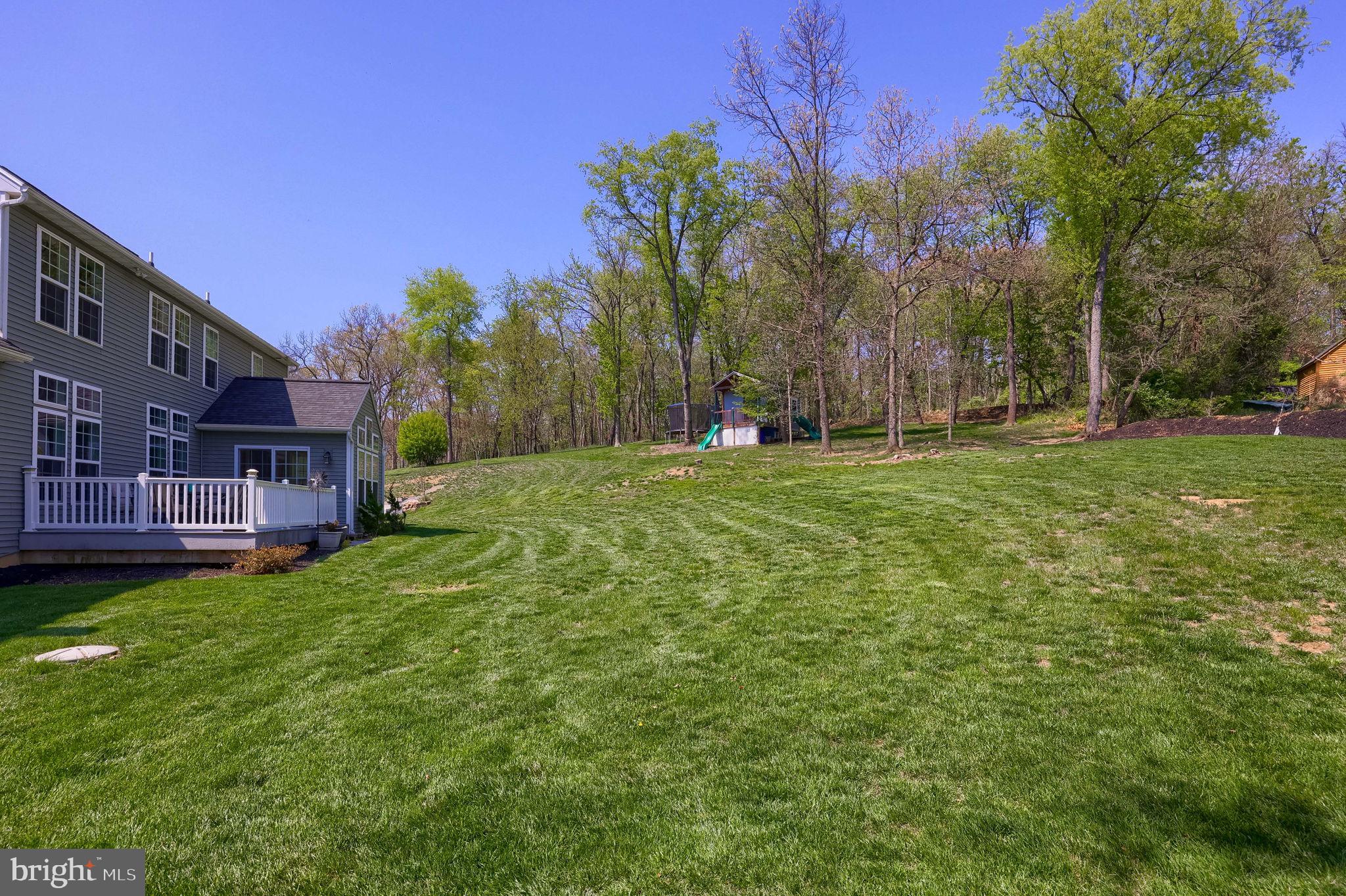 110 Pine Hill Road Enola, PA 17025 - Photo 62 of 109 Spacious backyard