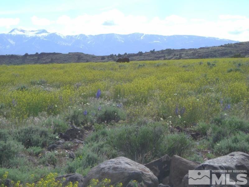165 South Virginia Street Reno, NV 89501 - Photo 1 of 14 Photo 1