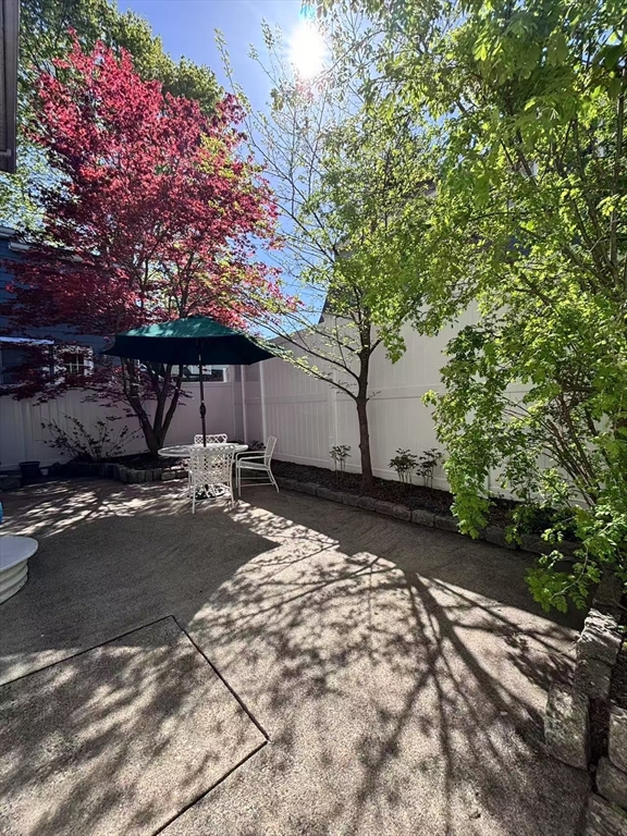 11 Sessions Street Wellesley, MA 02482 - Photo 21 of 22 a view of a backyard with a large tree