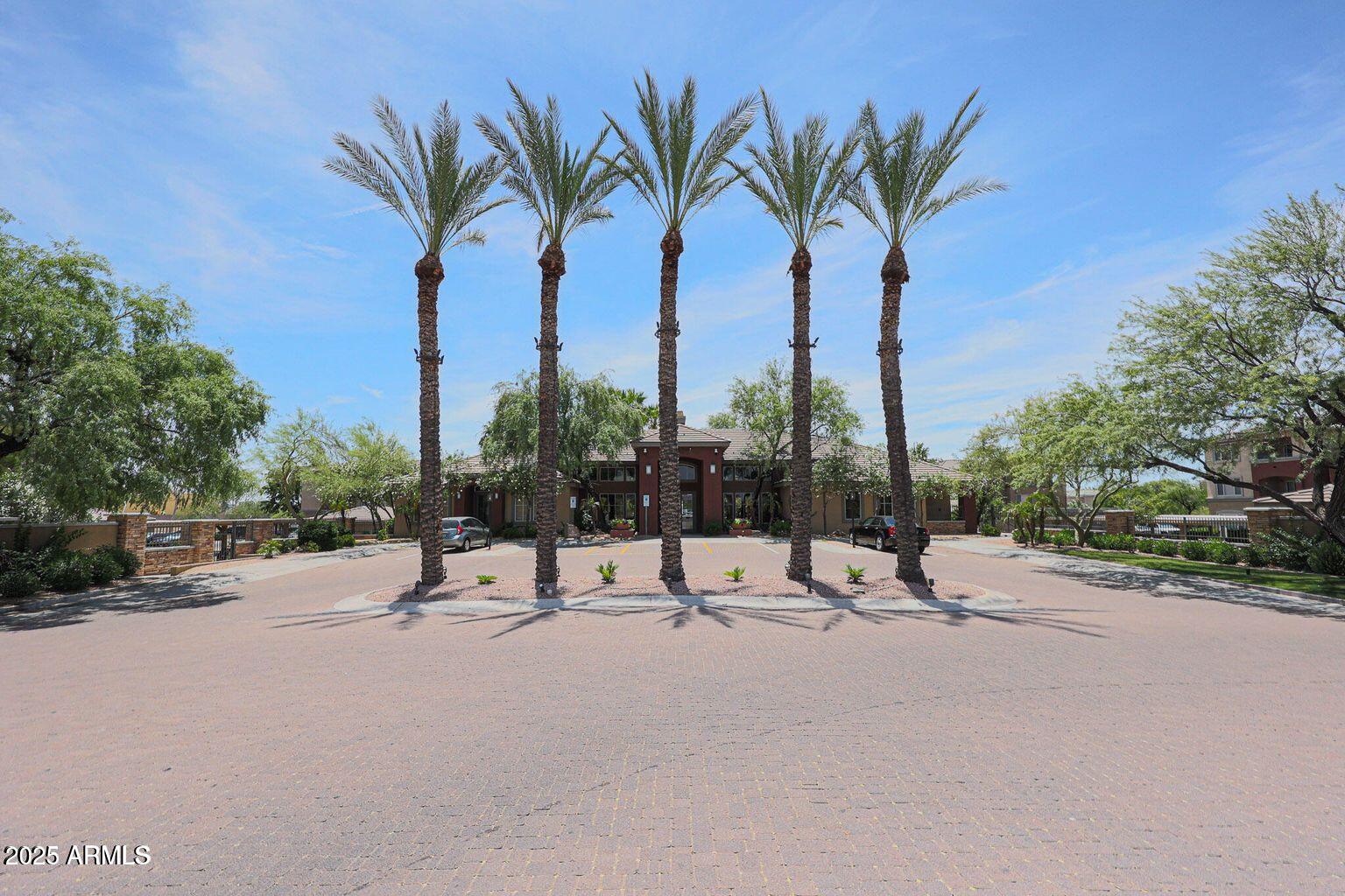 a row of palm trees on a sidewalk next to a road