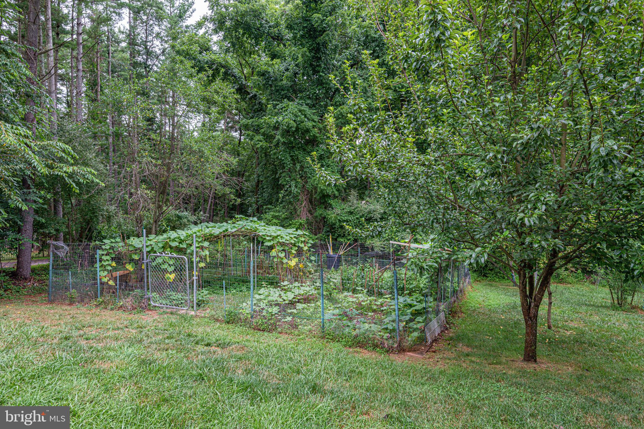 2172 Misty Meadow Road Finksburg, MD 21048 - Photo 109 of 118 Mature garden.