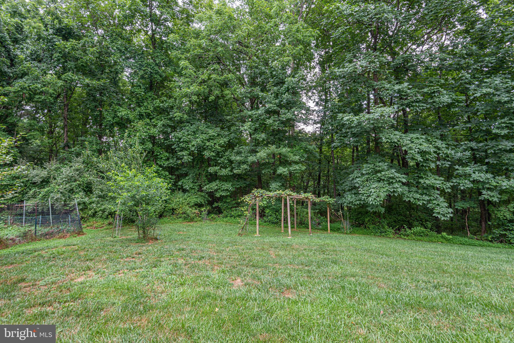 2172 Misty Meadow Road Finksburg, MD 21048 - Photo 110 of 118 Fruit trees, garden, privacy throughout.