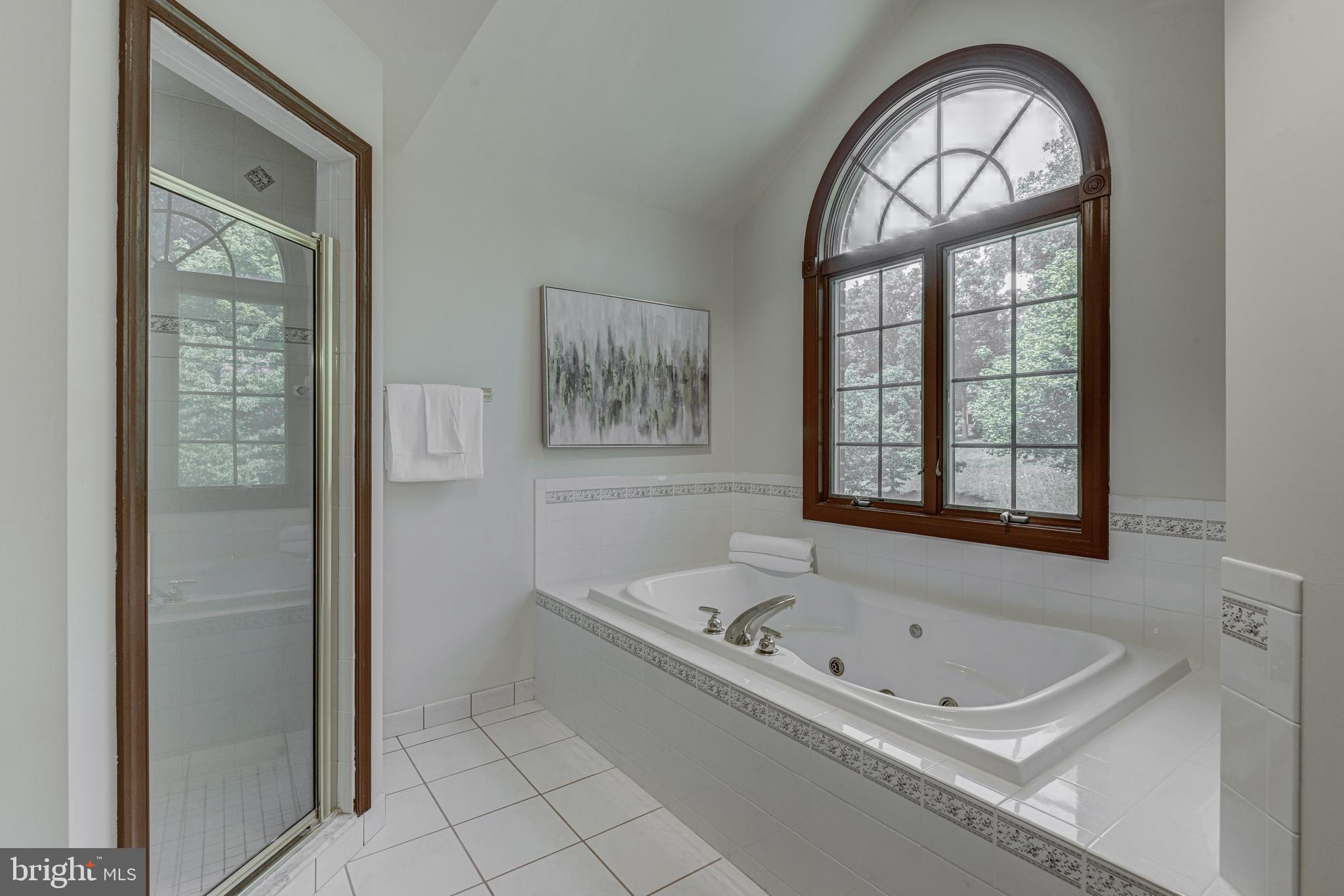 2172 Misty Meadow Road Finksburg, MD 21048 - Photo 78 of 118 Soaking tub and stall shower.