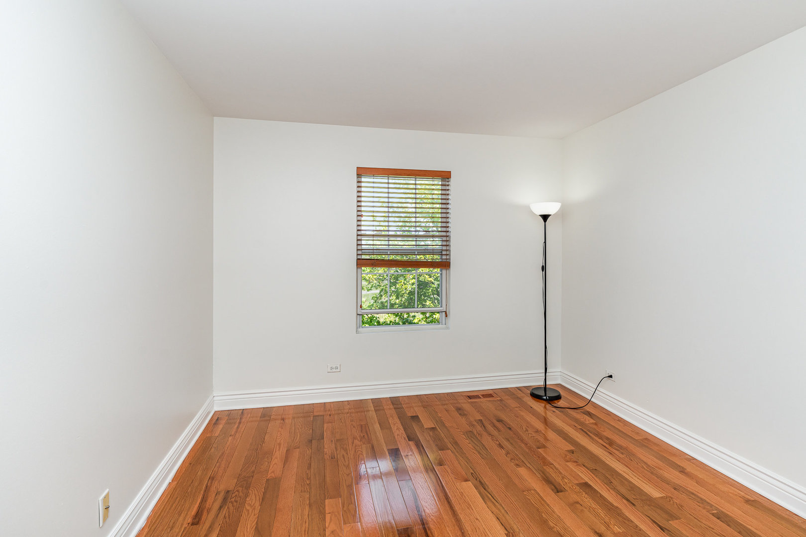 593 Springbrook Trail North Oswego, IL 60543 - Photo 10 of 15