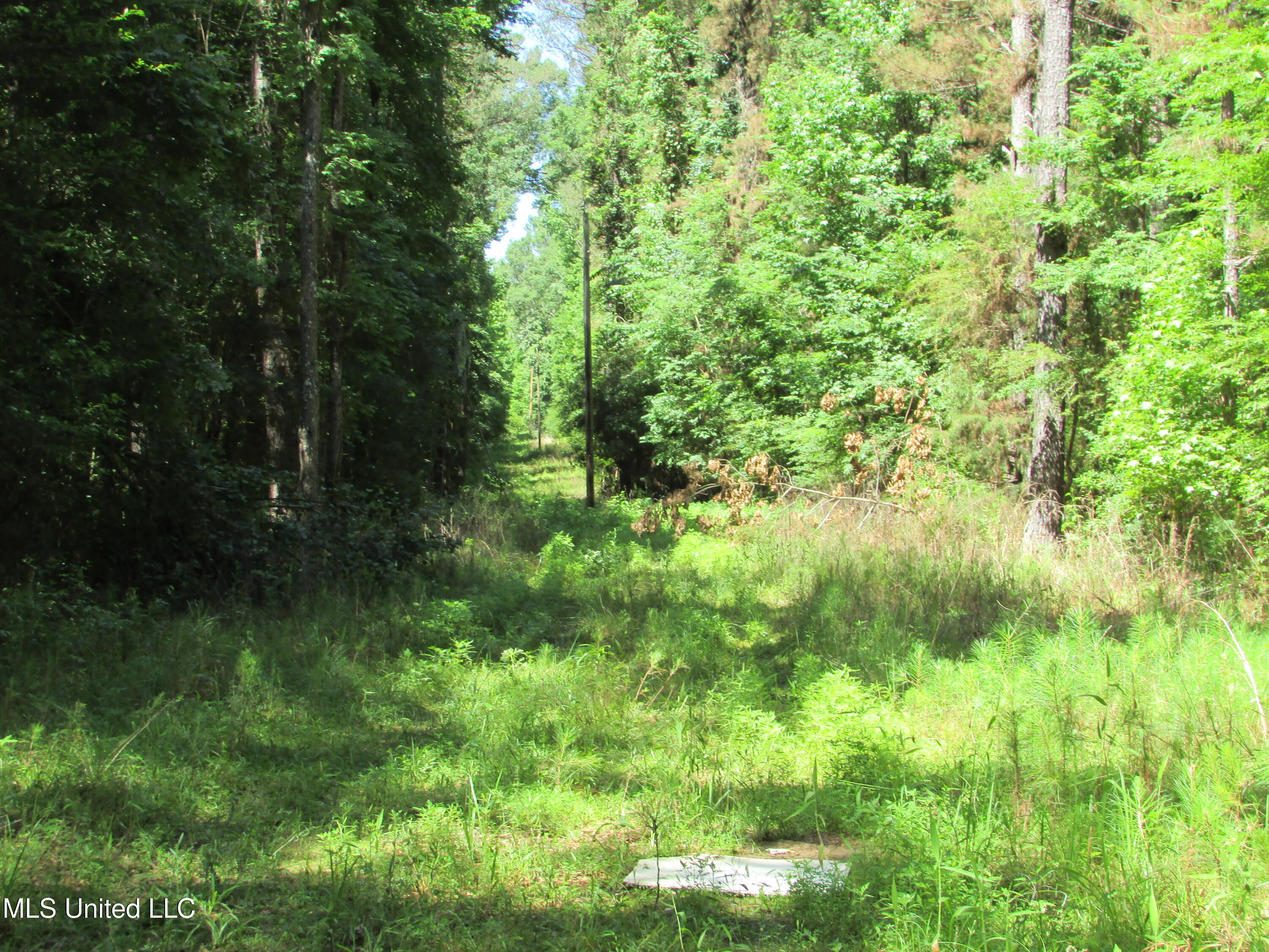 Westbrook And Bend Road Vaughan, MS 39179 - Photo 11 of 28 IMG_0019