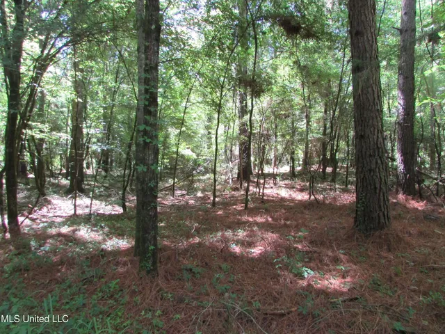 $615,000 | Westbrook And Bend Road, Vaughan, MS 39179