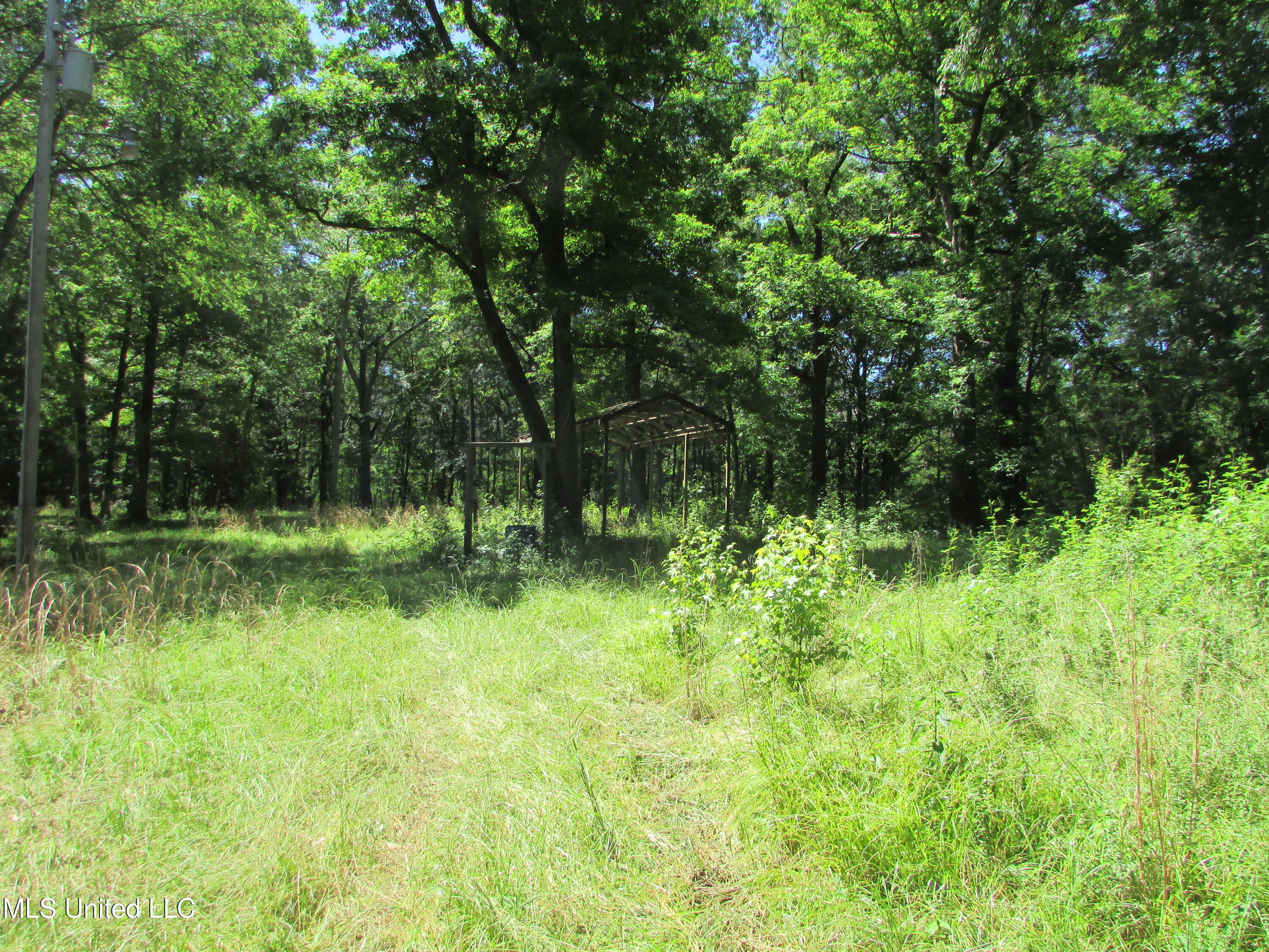 Westbrook And Bend Road Vaughan, MS 39179 - Photo 16 of 28 IMG_0025