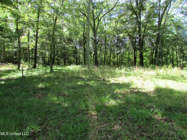 $615,000 | Westbrook And Bend Road, Vaughan, MS 39179