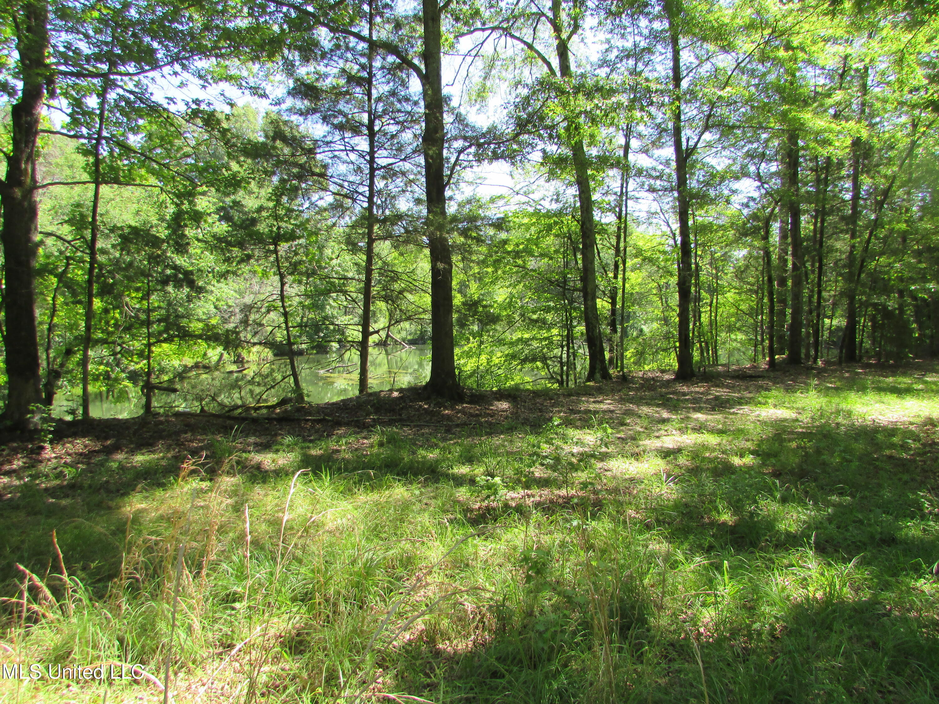 Westbrook And Bend Road Vaughan, MS 39179 - Photo 20 of 28 IMG_0029