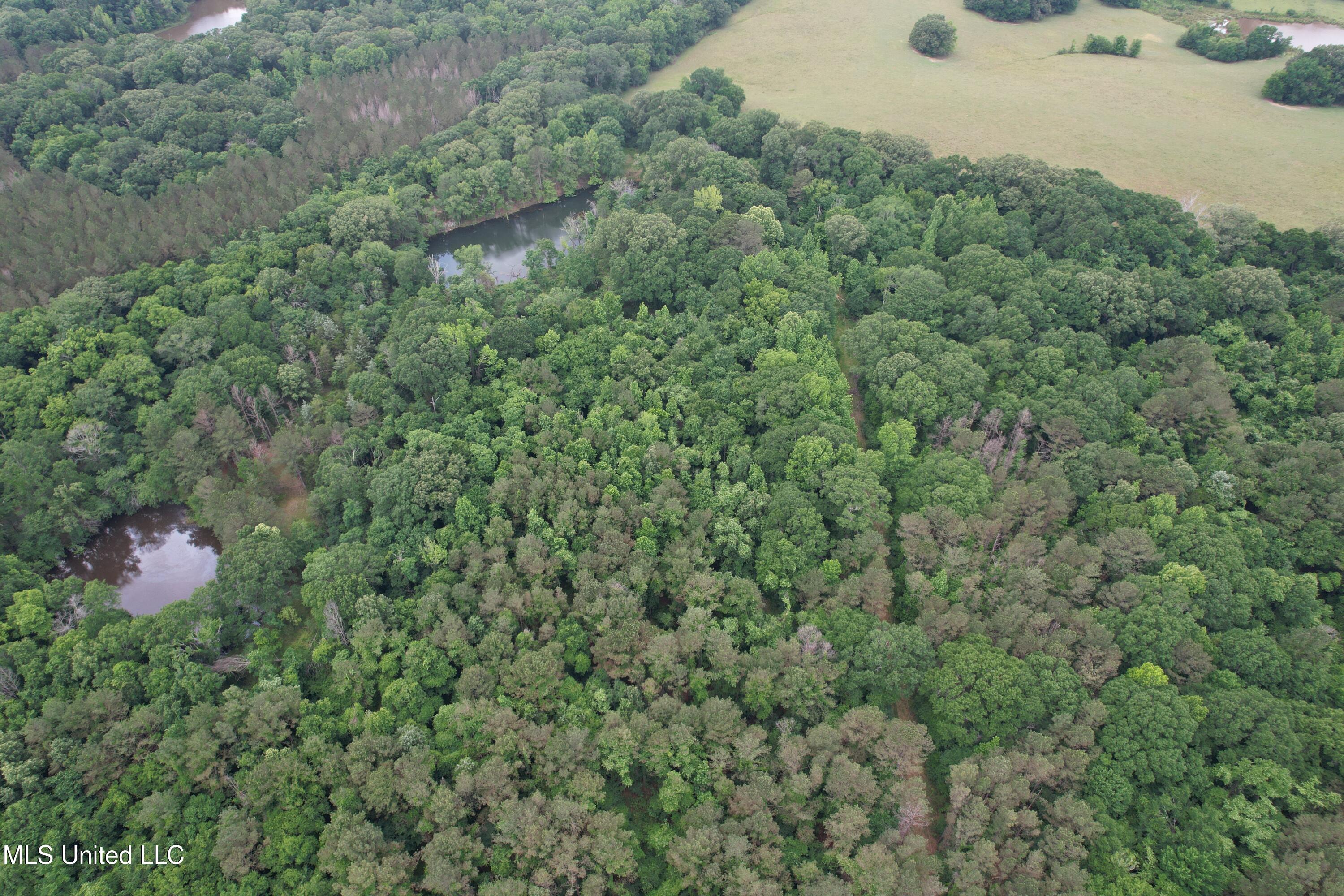 Westbrook And Bend Road Vaughan, MS 39179 - Photo 2 of 28 DJI_0147