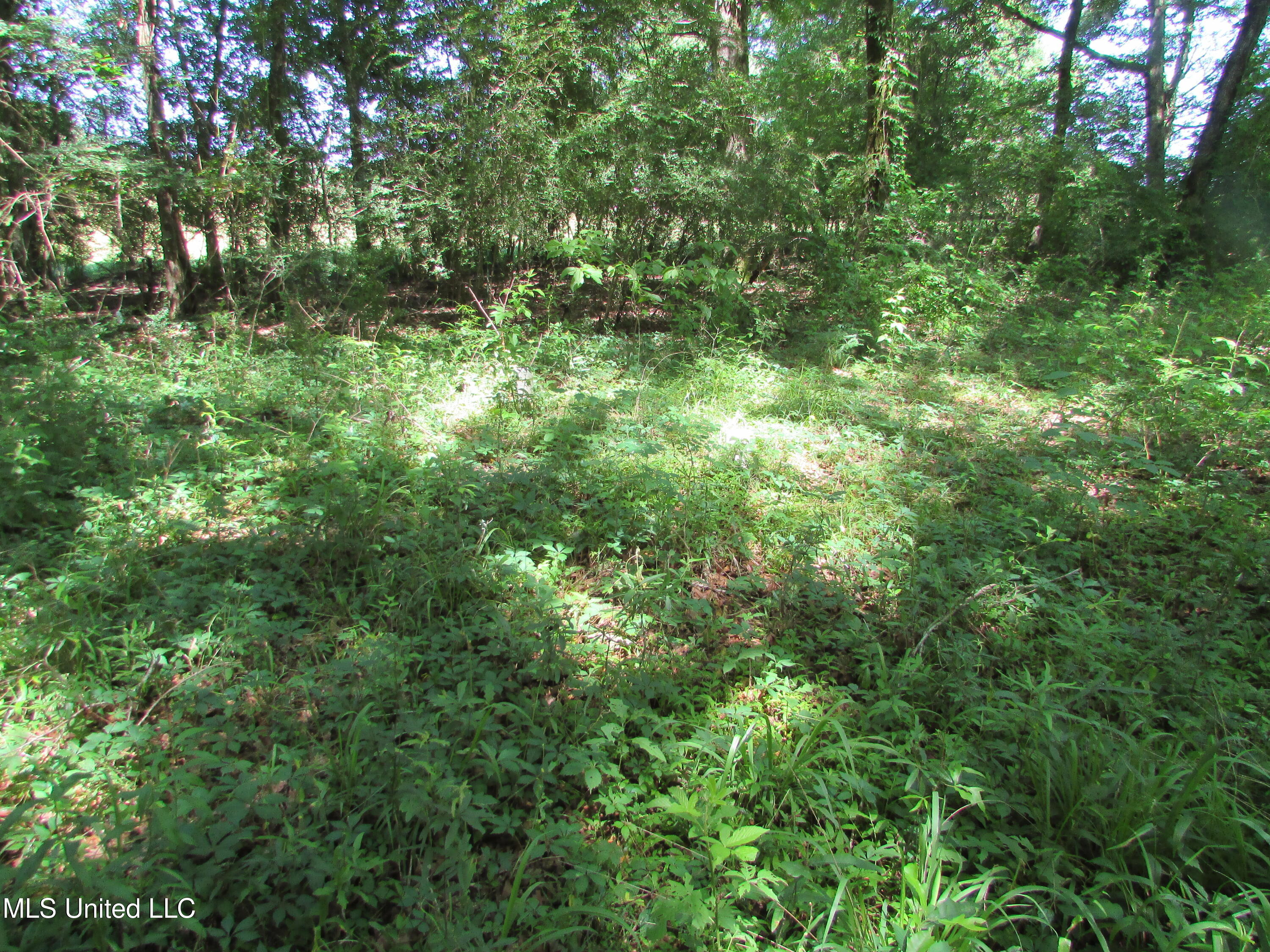 Westbrook And Bend Road Vaughan, MS 39179 - Photo 21 of 28 IMG_0030