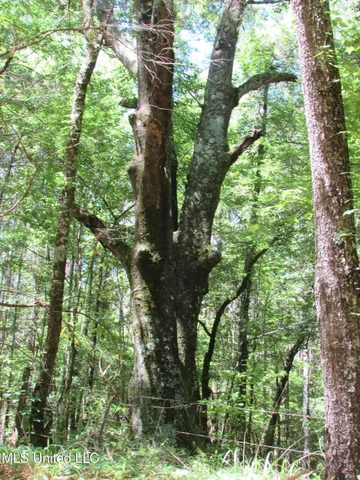 $615,000 | Westbrook And Bend Road, Vaughan, MS 39179