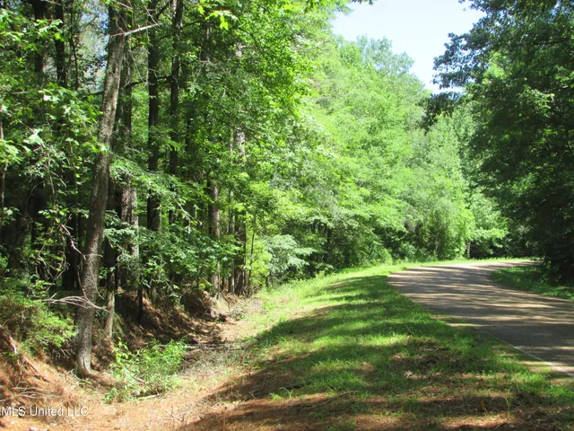 $615,000 | Westbrook And Bend Road, Vaughan, MS 39179